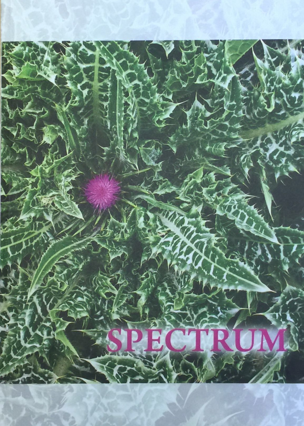 Editions Spectrum Literary Journal